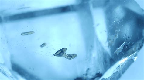 Hydrocarbon included Quartz | Buy Petroleum Quartz Online UK