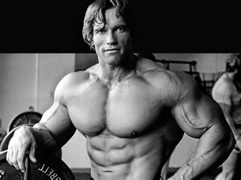 Download Arnold Schwarzenegger Wallpaper