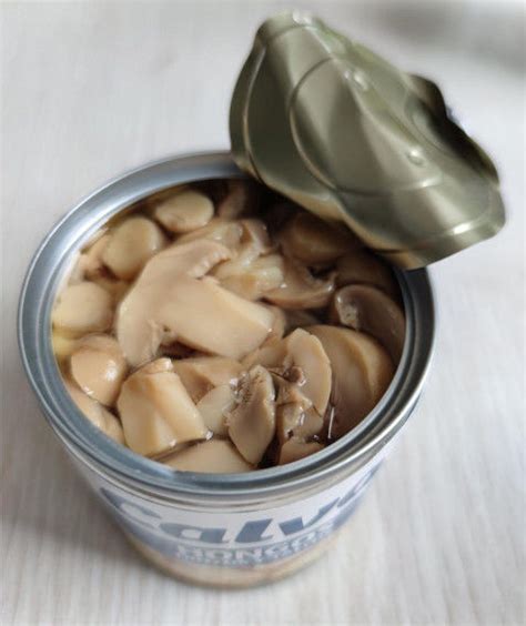 Ml Ml Grade A Canned Champignon Mushroom With Salty Flavor