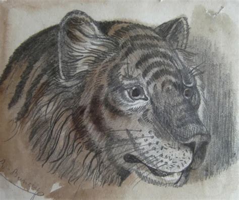 Ancien Dessin Aquarell Sign Buncey Lion Tigre Fauve Eur