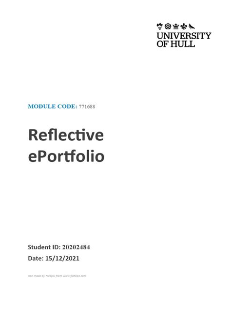 Reflective Portfolio Pdf