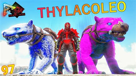 I Tame Army Of Ascended Thylacoleo Op Bolate 🔥🔥🔥 Ark Primal Fear