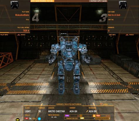 MWO Forums Arctic Cheetah Build Suggestions