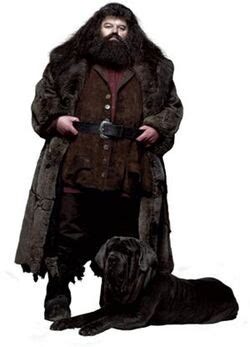 Rubeus Hagrid's pets | Harry Potter Wiki | Fandom