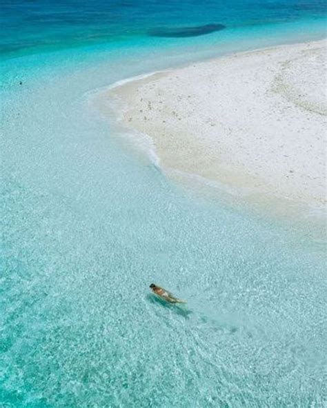 Wilson And Heron Island Southern Great Barrier Reef Australia