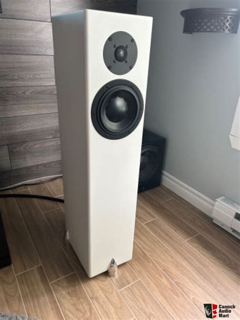 Totem Forest For Sale Canuck Audio Mart