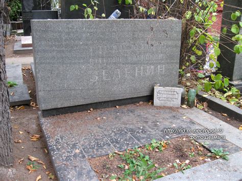 Новодевичье кладбище. Зеленин Владимир Филиппович (1881-1968)