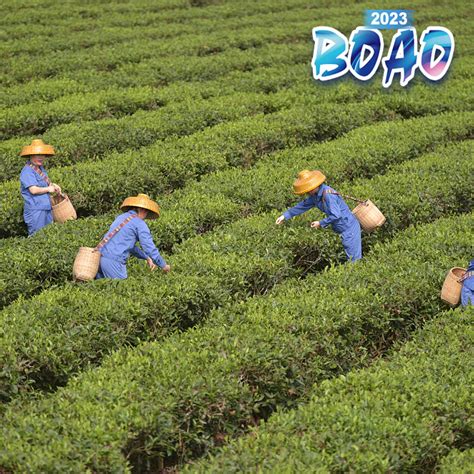 Live Explore Baisha Natural Tea Garden Town In S China S Hainan Cgtn