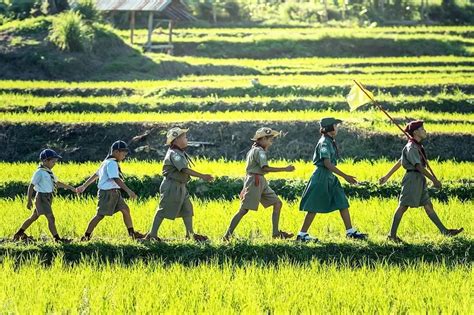 Tingkatan Pramuka - Quipper Blog