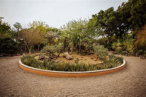 Presumen Jardín Botánico de Culiacán como uno de los más bonitos del