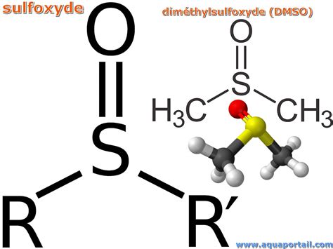 Sulfoxyde Définition Et Explications Aquaportail