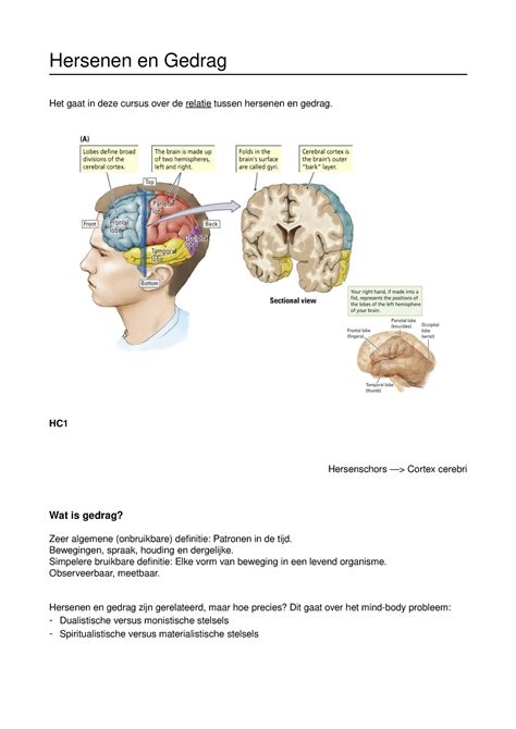 Aantekeningen Hersenen Gedrag Basics Hersenen En Gedrag Het Gaat In