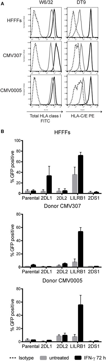 Frontiers Modulation Of Human Leukocyte Antigen C By Human