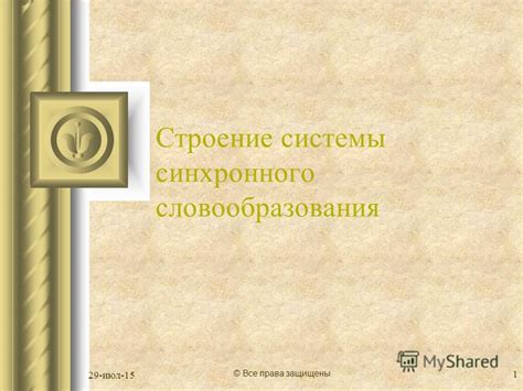 Строение системы синхронного словообразования Book Science