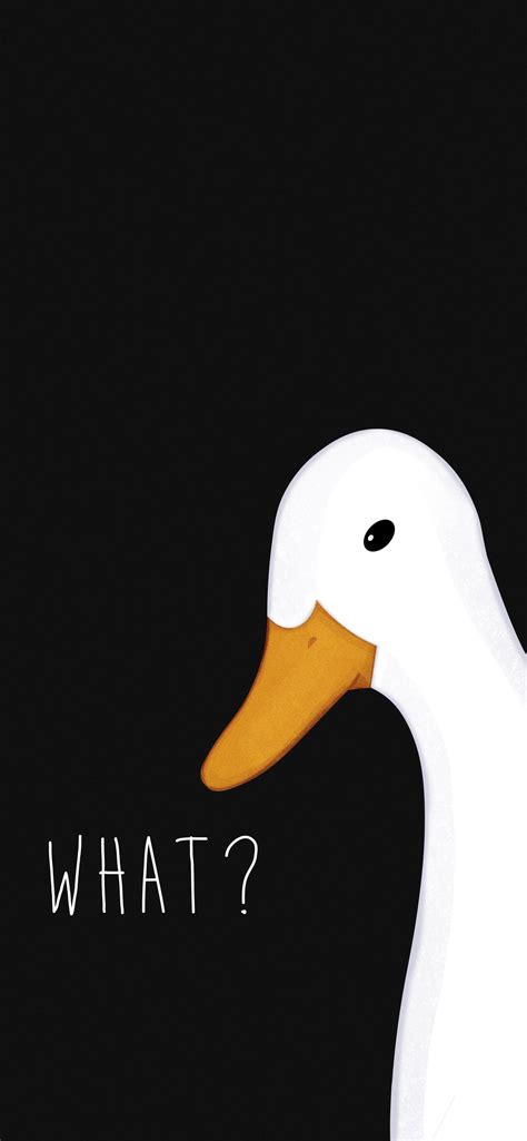 Funny Goose Wallpapers - Top Free Funny Goose Backgrounds - WallpaperAccess