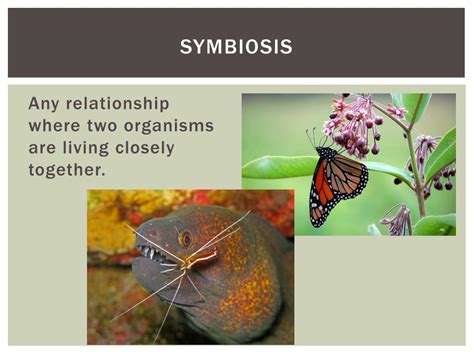 Ppt Community Ecology Powerpoint Presentation Free Download Id2793543