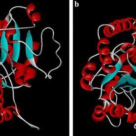 Predicted 3D structure of glycosyltransferase. a 3D structure of ...