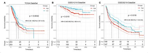 Prognostic Signature Construction And Validation A Significant