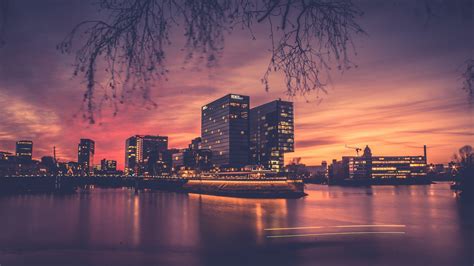 Wallpaper Trees Lights Sunset City Cityscape Night Architecture