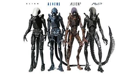 Xenomorphs Evolution