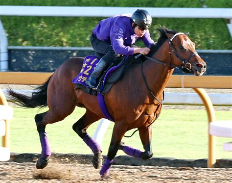 【注目馬動向】ドウデュースが宝塚記念へ初時計 武豊騎手は1週前に騎乗 友道調教師「いつも通りだけど元気がいい」 スポーツ報知