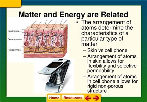 Ppt Chapter 8 Cellular Energy Powerpoint Presentation Free Download Id 5520253