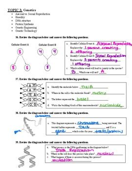 Living Environment Nys Regents Review Topic Genetics Tpt