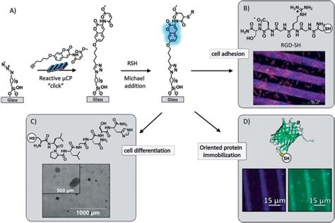 A Schematic Procedure Of The Surface Functionalization By Printing Download Scientific