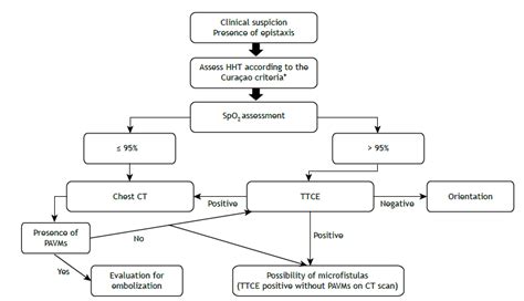 Scielo Brasil Update On Pulmonary Arteriovenous Malformations