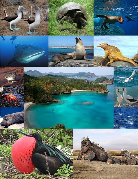 Tourism And Travel Guide Ecuador Tour Here In 2023 Galapagos