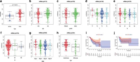 Correlation Between Mrnasi And Clinical Characteristics In Gac A Download Scientific Diagram