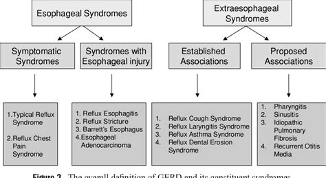 Table 1 From The Montreal Definition And Classification Of Gastroesophageal Reflux Disease A