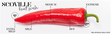 Thoughtfully Gifts Master Hot Sauce Collection Gift Set Flavors Include Garlic Herb Cayenne