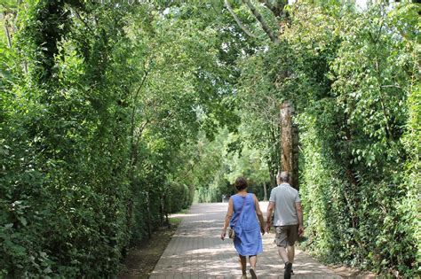 La ville de Rungis est bien plus qu un grand marché