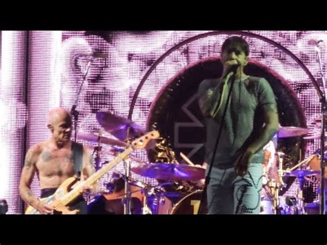 Red Hot Chili Peppers The Zephyr Song Live In Tokyo 20 May 2024