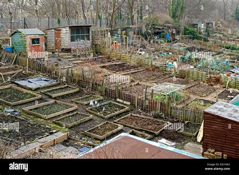 Allotments Stock Photos And Allotments Stock Images Alamy