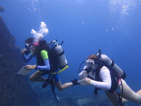 Pin on Guardado rápido Teen travel Scuba diver girls Scuba