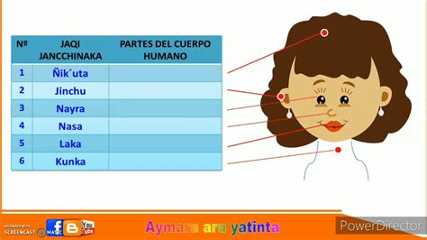 PARTES DEL CUERPO HUMANO EN AYMARA YouTube