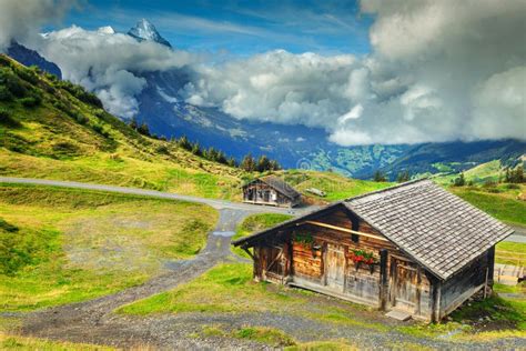 Typical Swiss Alpine Farmhouses and Snowy Mountains, Bernese Oberland, Switzerland Stock Image ...