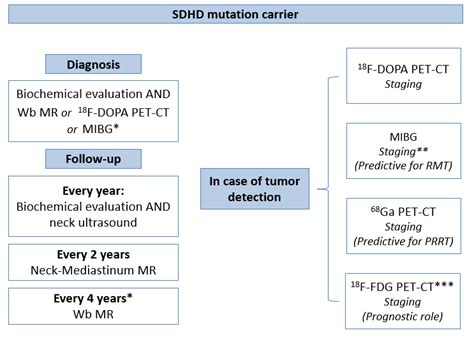 Proposed Diagnostic Algorithm Or In Case Of Suspected Symptoms Of