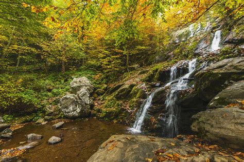 Fall Into Fun The Best Things To Do In Lynchburg This Fall