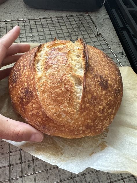 Sourdough Mini Loaf Recipe Crafty Gemini