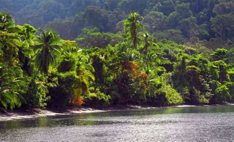 13 Best Costa Rica National Parks & Reserves