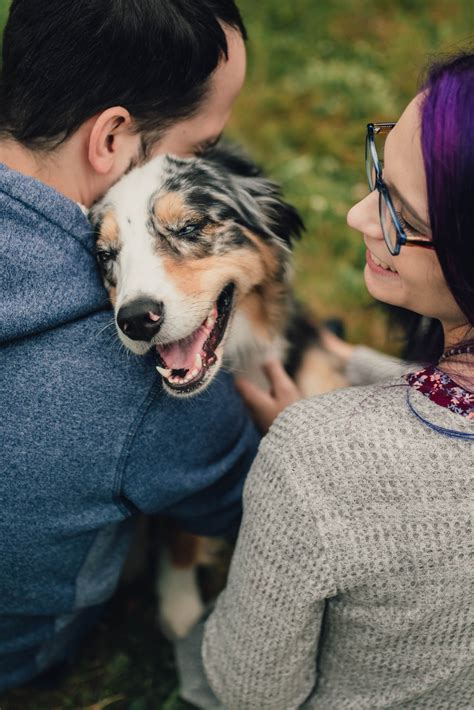 About Us | Stanwood Veterinarian | Vet Clinic | Affordable Pet Care