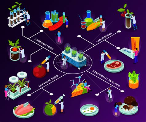 人工食品等距流程图与科学家实验中食用成分的紫色背景矢量插图插画图片下载 正版图片300896988 摄图网