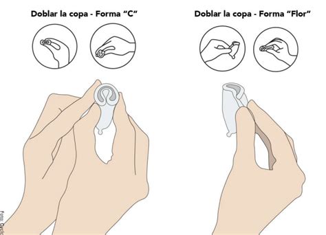 Formas De Poner La Copa Menstrual Aulaiestpdm Blog