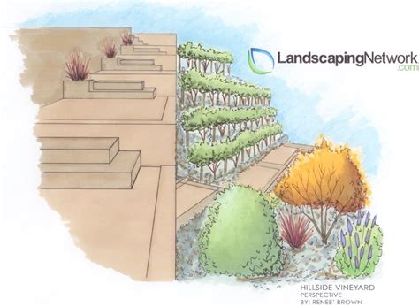 Hillside Landscaping Ideas Solutions For Slopes Landscaping Network