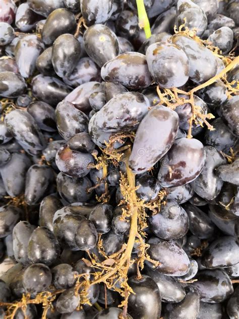 Muitas Uvas Deliciosas No Mercado Fundo Da Fruta Org Nico E Saud Vel