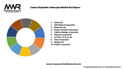 Europe Disposable Endoscopes Market Size Share Growth