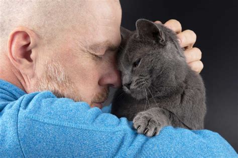 Beneficios De Acariciar Al Gato Gestos Que Son Buenos Para Ambos